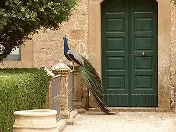 Savoca 4*